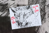postcard set wildest animals